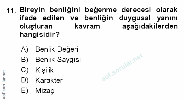 Soru 11