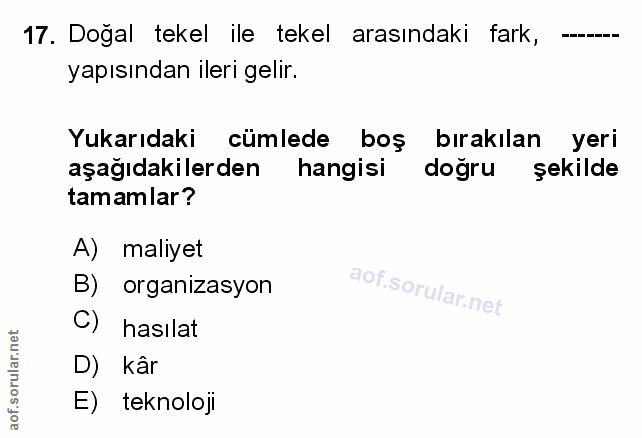 Soru 17