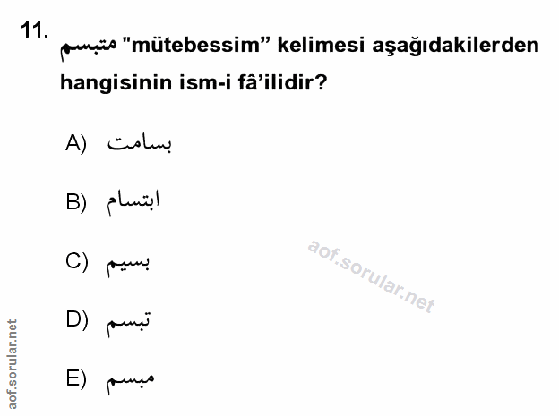 Soru 11