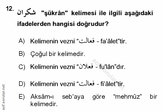 Soru 12