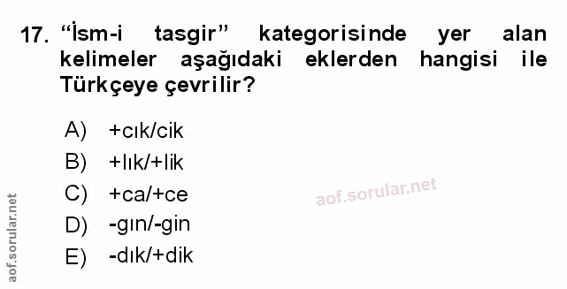Soru 17