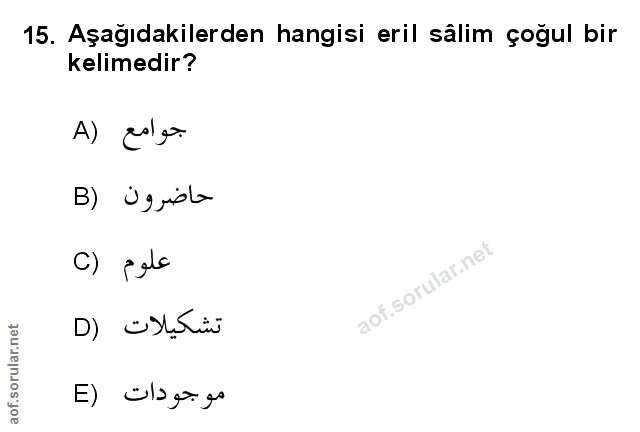 Soru 15