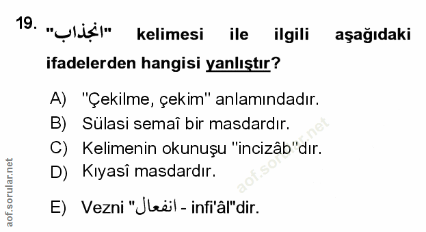 Soru 19
