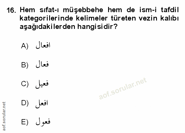 Soru 16