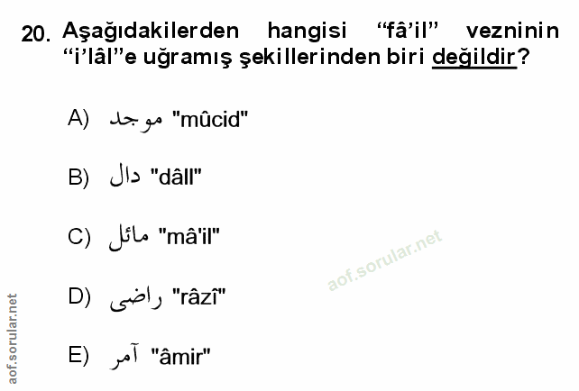 Soru 20