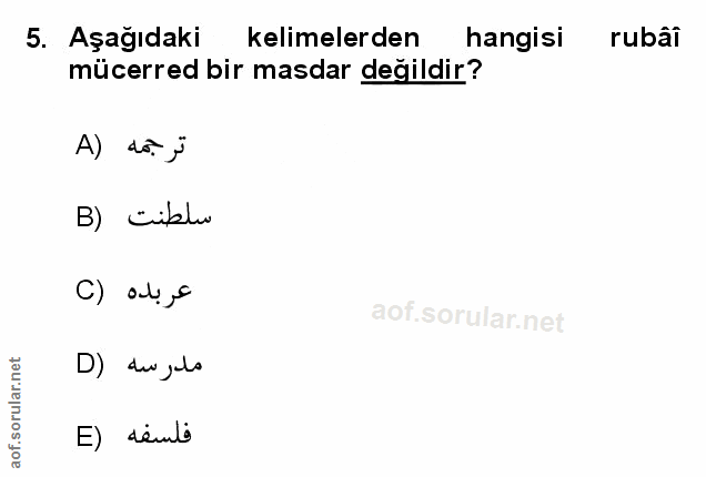Soru 5