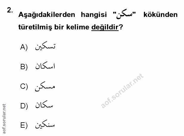 Soru 2