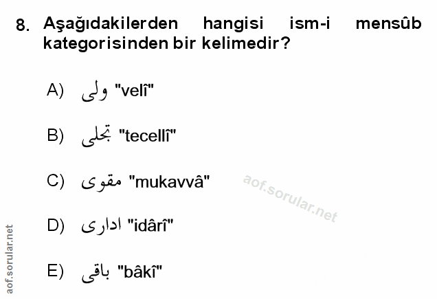 Soru 8
