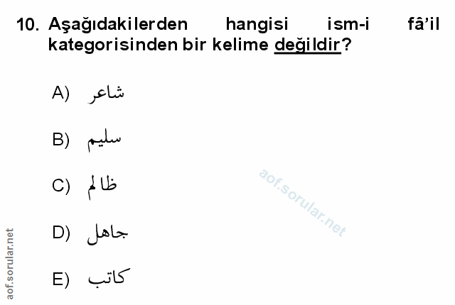 Soru 10