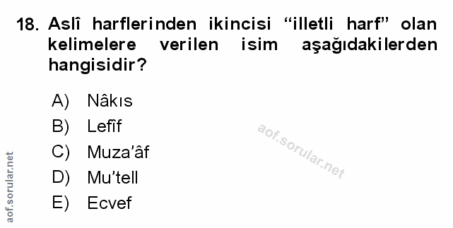 Soru 18
