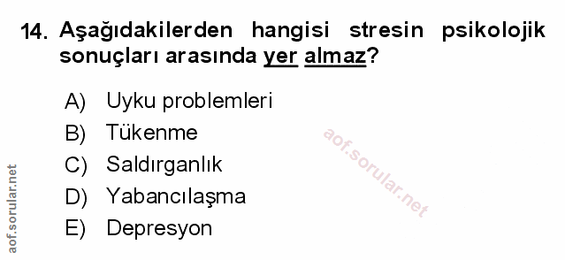 Soru 14