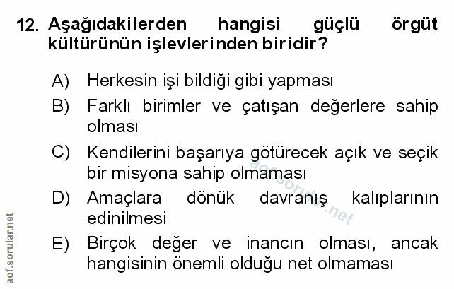 Soru 12