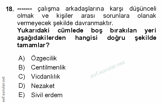 Soru 18