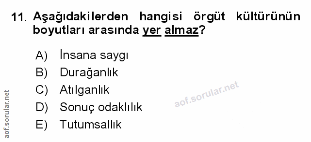 Soru 11
