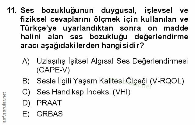 Soru 11