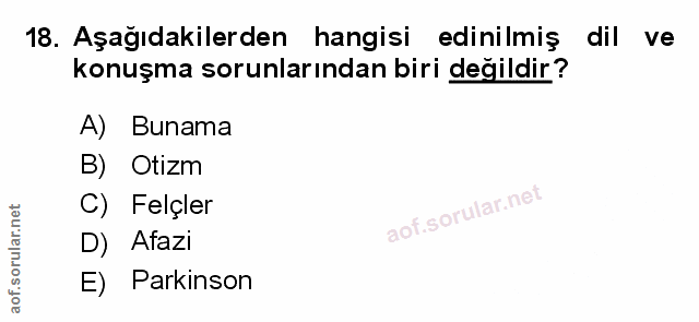 Soru 18