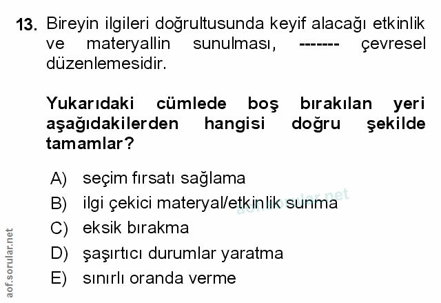 Soru 13