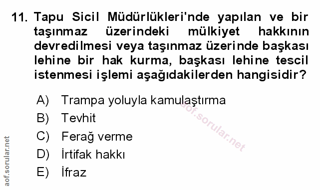 Soru 11