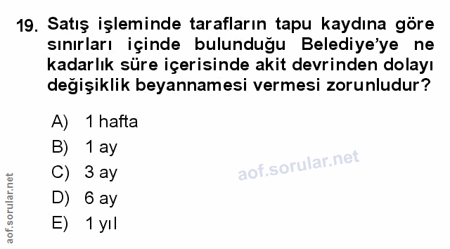 Soru 19