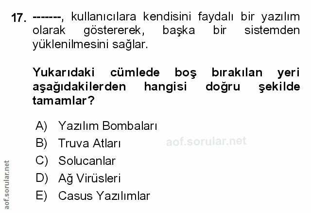 Soru 17