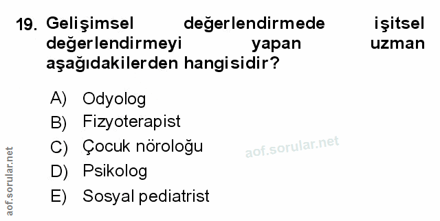 Soru 19