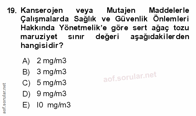 Soru 19