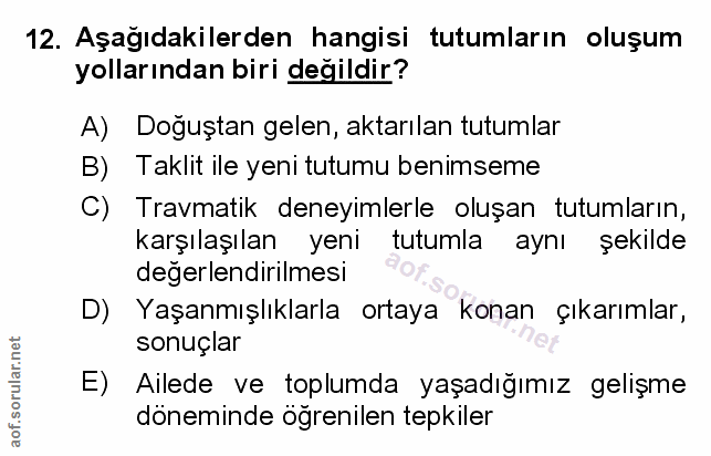Soru 12