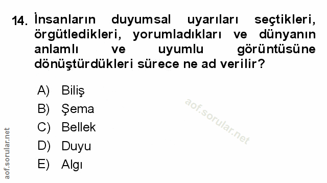 Soru 14