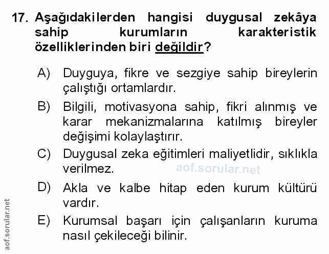 Soru 17