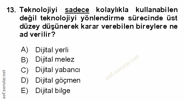 Soru 13