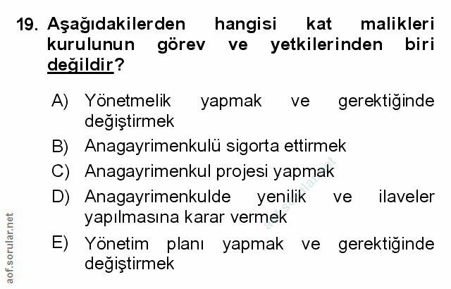 Soru 19