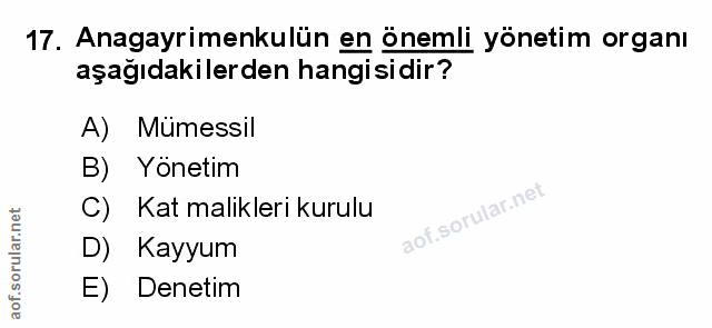Soru 17
