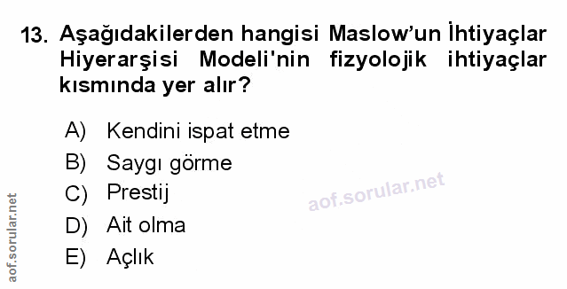 Soru 13