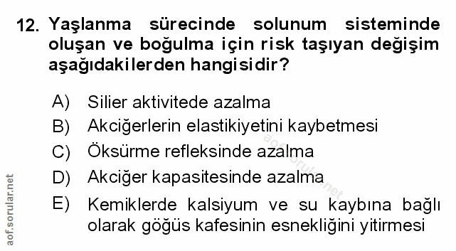 Soru 12