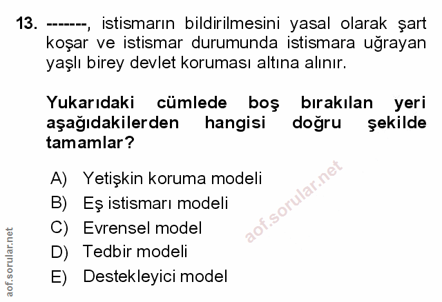 Soru 13
