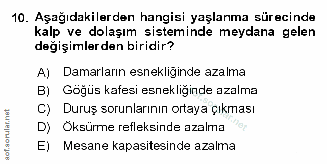 Soru 10