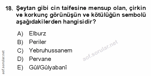Soru 18