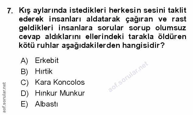 Soru 7