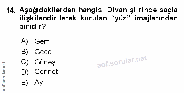 Soru 14