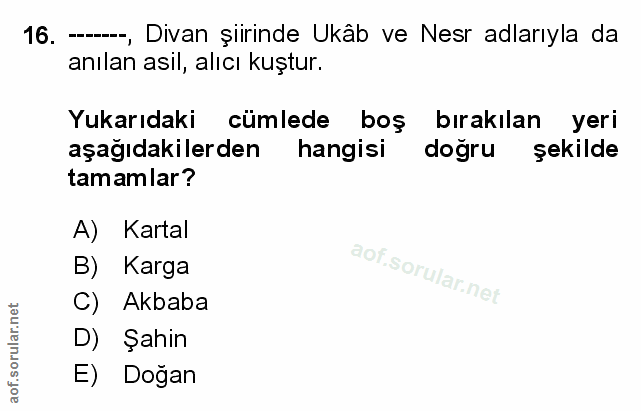 Soru 16