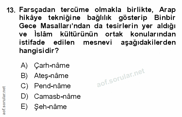 Soru 13