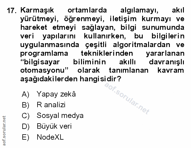 Soru 17