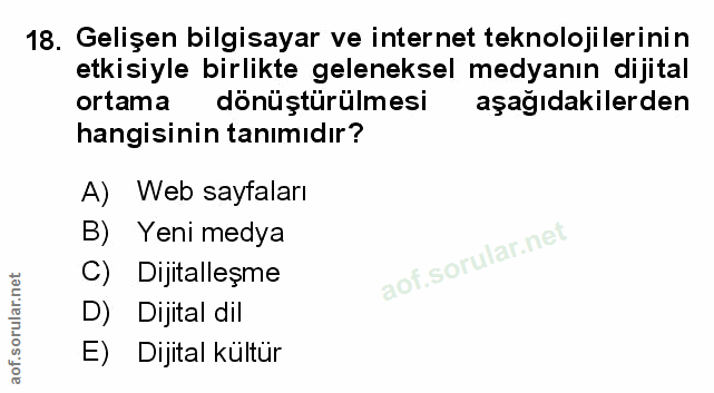 Soru 18