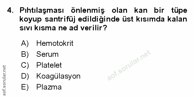 Soru 4