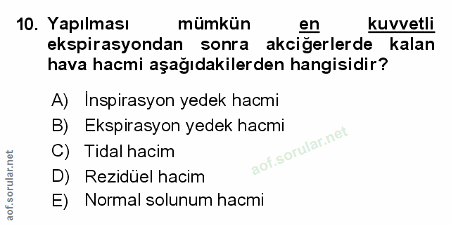 Soru 10
