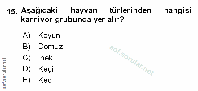 Soru 15