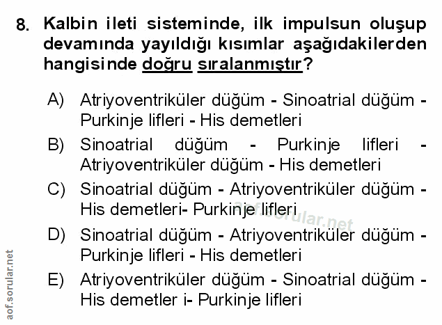 Soru 8