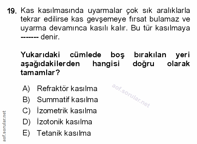 Soru 19