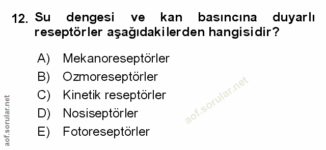 Soru 12