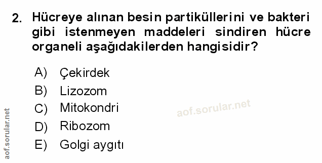 Soru 2